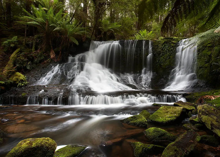 Horseshoe Falls surrounded by ferns in Mt Field National Park